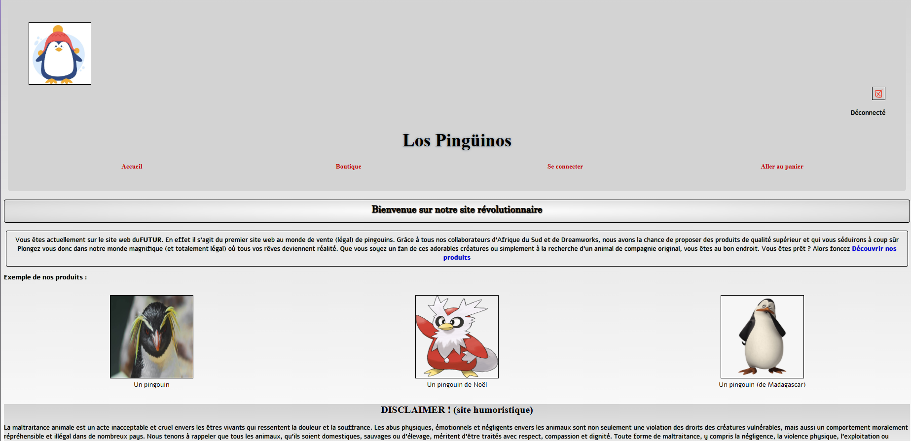 Boutique e-commerce (factice)