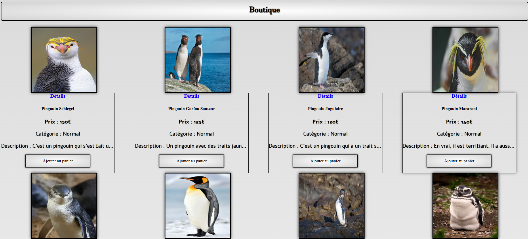 Boutique e-commerce (factice)