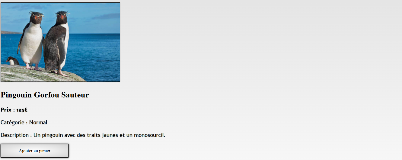 Boutique e-commerce (factice)